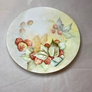 Vintage Bavarian Hand Painted Plate
